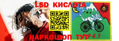 стафф Брянск