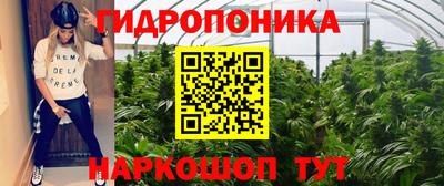 стафф Брянск