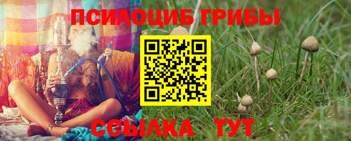 Псилоцибиновые грибы Magic Shrooms Владикавказ