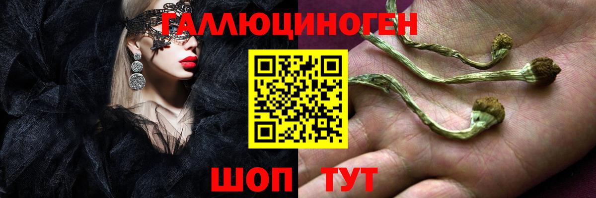 Владикавказ  Псилоцибиновые грибы MAGIC MUSHROOMS  Вход с VPN 